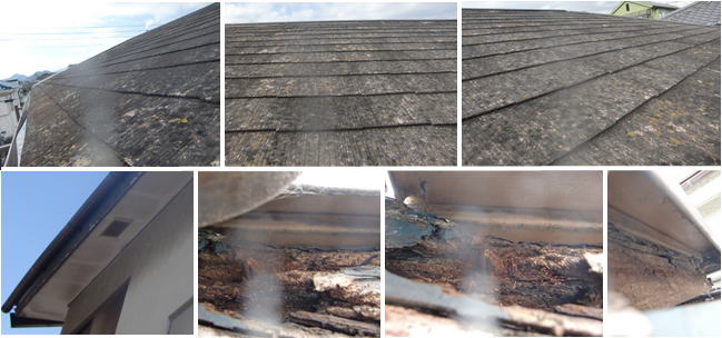 �������t�H�[���{�H�O