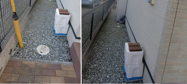 �e���X��t&�y�ԑł��@�{�H�O