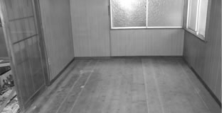 �V�X�e���n�E�X�@�{�H����W�ʐ^