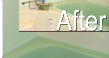 �V�X�e���n�E�X�@�{�H����W�ʐ^