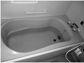 �������t�H�[������A�{�H�O�摜