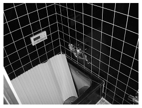 �������t�H�[������A�{�H�O�摜