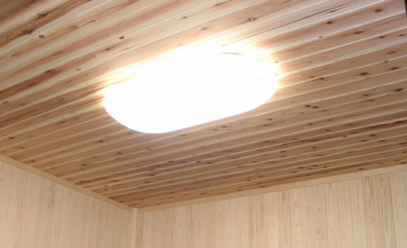 �V�X�e���n�E�X�@�{�H����W�ʐ^