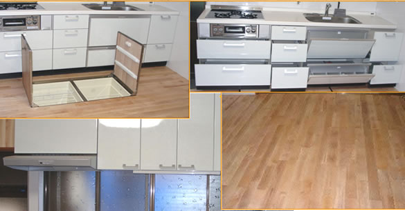 �V�X�e���n�E�X�@�{�H����W�ʐ^