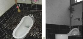 �V�X�e���n�E�X�@�{�H����W�ʐ^