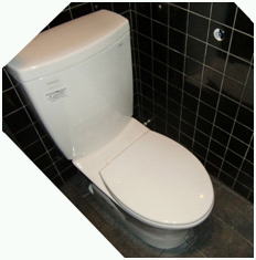 �X�܃g�C���{�H��