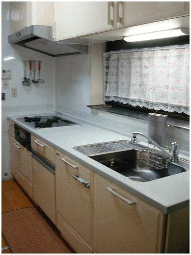 �^�J�����~���[�{�H��