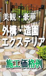 �O�\�E�����E�G�N�X�e���A�@���i