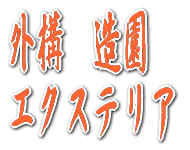 �O�\�@���� �G�N�X�e���A